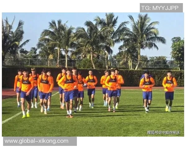 申花冬训热身赛首秀新外援盖伊领衔433阵型锋线出战